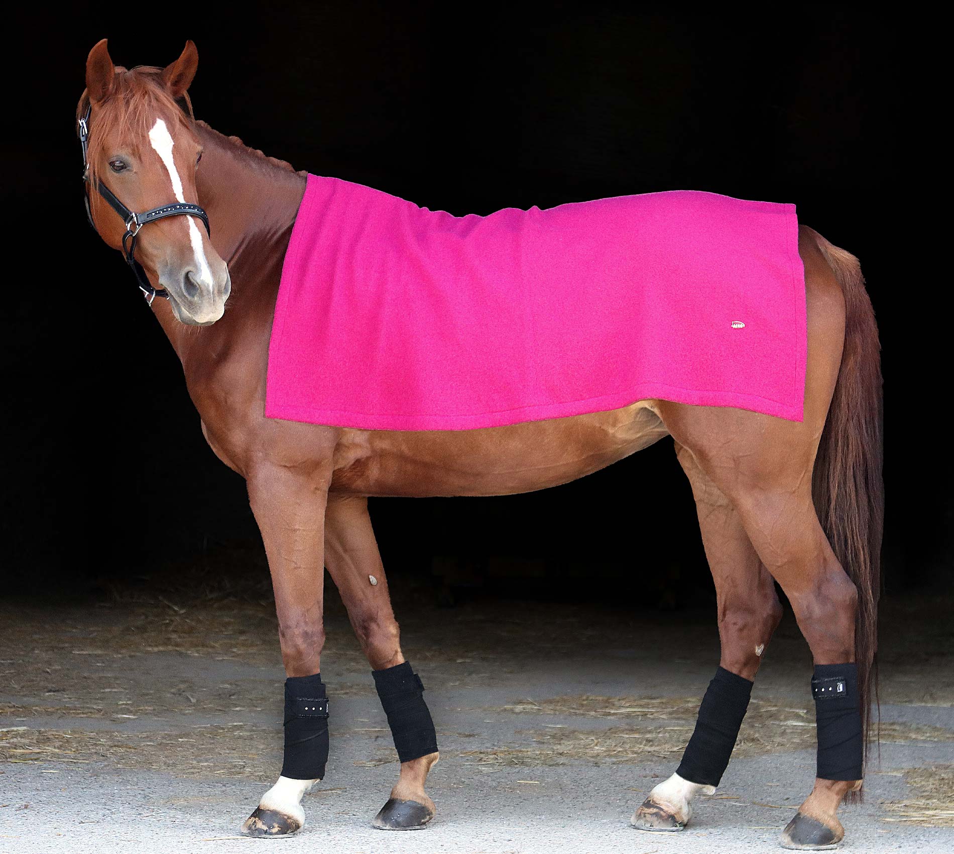 Molly Seamless Training Top - Pink – Equeene Equestrian